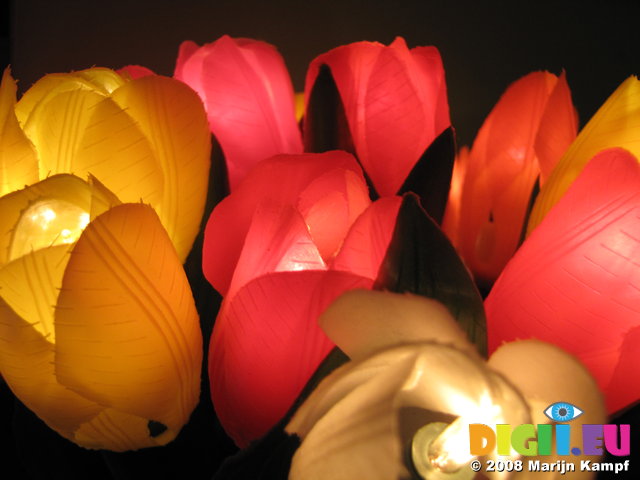 SX00024 Plastic tulip lights